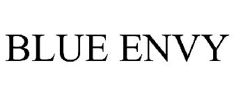 BLUE ENVY