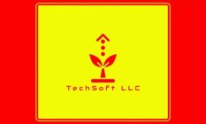 TECHSOFT LLC