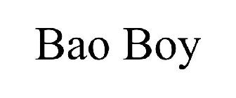 BAO BOY