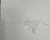 RUN LIKE A CHEETAH