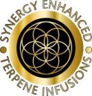 SYNERGY ENHANCED TERPENE INFUSIONS