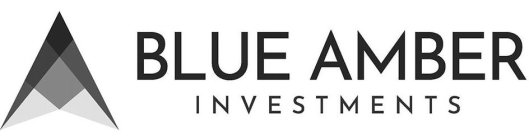 BLUE AMBER INVESTMENTS