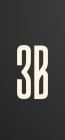 3B