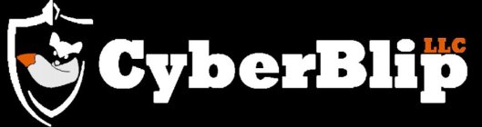 CYBERBLIP LLC