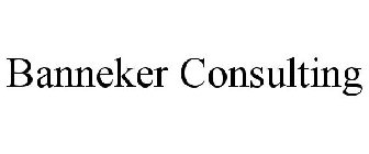 BANNEKER CONSULTING