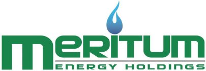 MERITUM ENERGY HOLDINGS