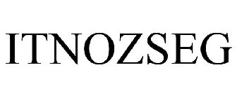 ITNOZSEG