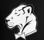 Image Trademark