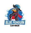 BLUE PENGUIN CAR WASH