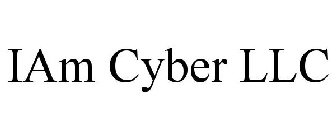 IAM CYBER LLC