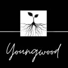 YOUNGWOOD