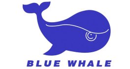 BLUE WHALE