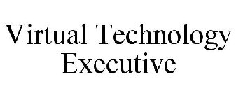 VIRTUAL TECHNOLOGY EXECUTIVE