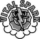 VITAL SPARK