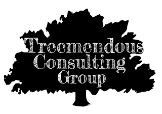 TREEMENDOUS CONSULTING GROUP