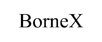 BORNEX