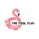 THE POOL PLUG