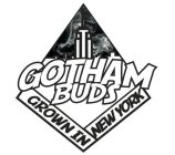 GOTHAM BUDS GROWN IN NEW YORK