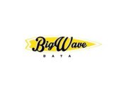 BIG WAVE DATA