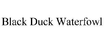 BLACK DUCK WATERFOWL