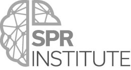 SPR INSTITUTE