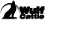 WULF CATTLE