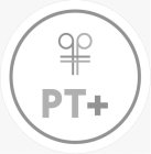P T+