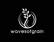 WAVESOFGRAIN