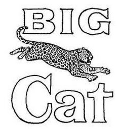 BIG CAT