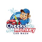 CHEEKY MONKEY CAR WASH