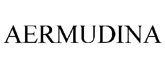 AERMUDINA