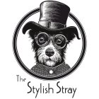 THE STYLISH STRAY