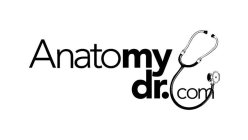 ANATOMY DR.COM