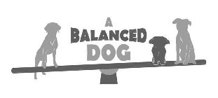 A BALANCED DOG