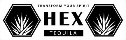 HEX TEQUILA TRANSFORM YOUR SPIRIT