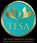 TESA THE ELITE SERVICES AGENCY WHERE EXCELLENCE MEETS OPPORTUNITY