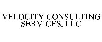 VELOCITY CONSULTING SERVICES, LLC