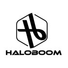 HALOBOOM