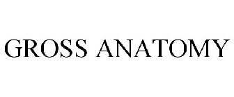 GROSS ANATOMY