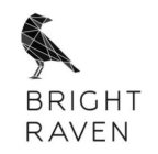 BRIGHT RAVEN