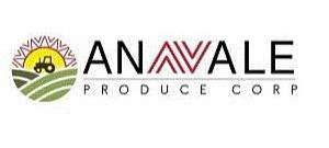 ANAVALE PRODUCE CORP