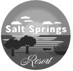 SALT SPRINGS RESORT