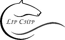 LIP CHIP