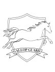 GALLOP GUARD