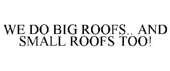 WE DO BIG ROOFS.. AND SMALL ROOFS TOO!