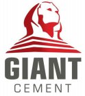 GIANT CEMENT