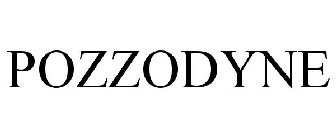 POZZODYNE