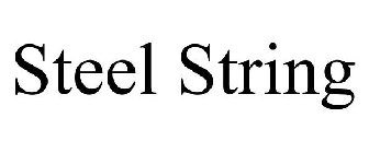 STEEL STRING