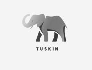 TUSKIN