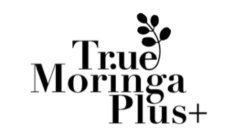 TRUE MORINGA PLUS+